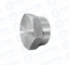 ANSI Industrial Pipe Forged Socket Plug ANSI B16.9 Equal Shape