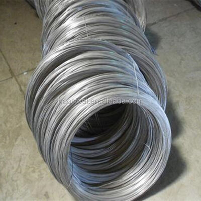 Stainless Steel Wire 304 316 316L 316Ti 309s 310S Soft Bright Matt 0.05-20mm