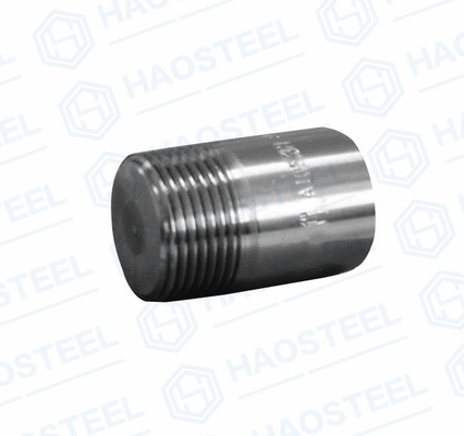 ANSI Industrial Pipe Forged Socket Plug ANSI B16.9 Equal Shape